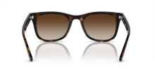 Load image into Gallery viewer, RB4420