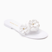 Load image into Gallery viewer, Amelia Jelly Flip Flop