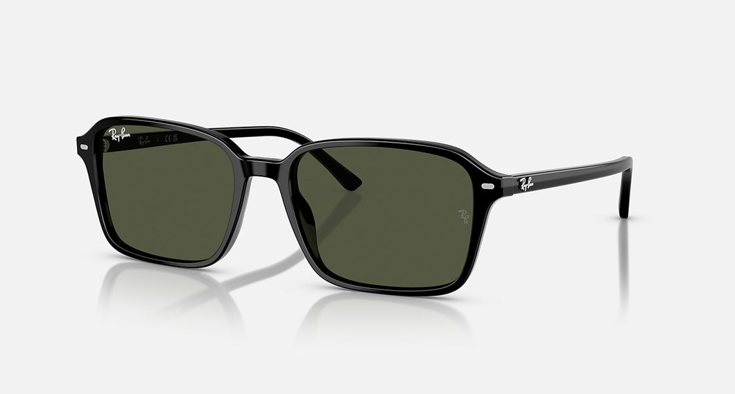 RAIMOND BLACK w/ GREEN