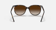 Load image into Gallery viewer, 0RB4378 HAVANA w/ GRADIENT BROWN
