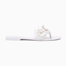 Load image into Gallery viewer, Amelia Jelly Flip Flop
