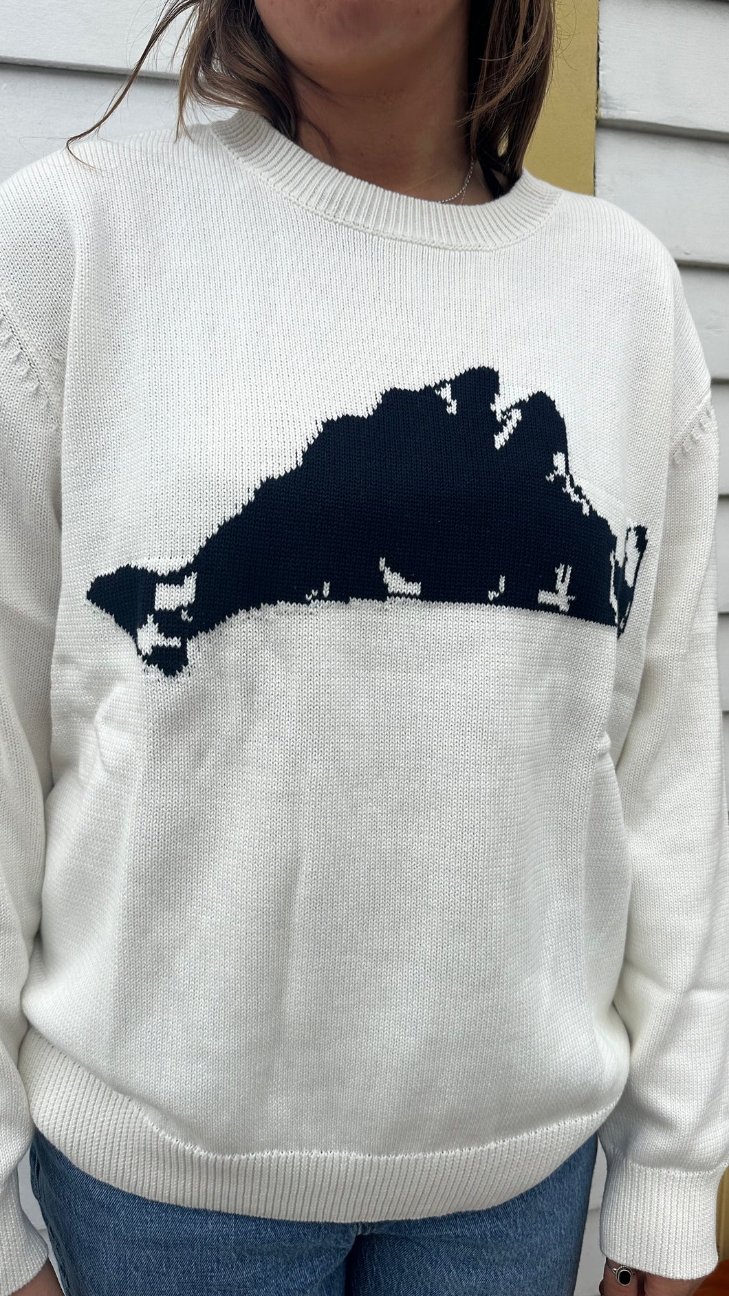 2025 Island Shape Sweater