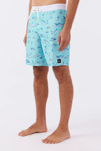 Load image into Gallery viewer, HYPERFREAK MYSTO 20&quot; BOARDSHORTS
