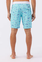 Load image into Gallery viewer, HYPERFREAK MYSTO 20&quot; BOARDSHORTS
