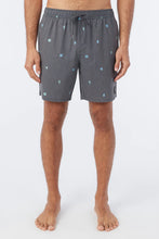 Load image into Gallery viewer, OG VOLLEY 17&quot; BOARDSHORTS
